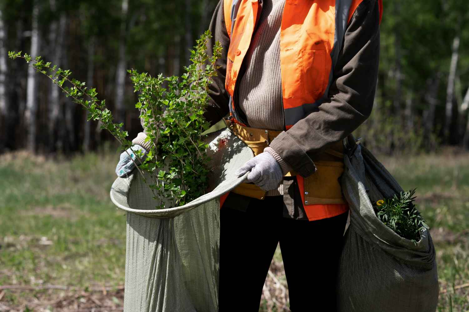 Best Affordable Tree Service  in USA